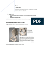 Articulación Coxo