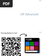 SIP Advanced 160820