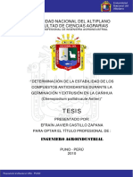 Castillo Zapana Efrain Javier PDF