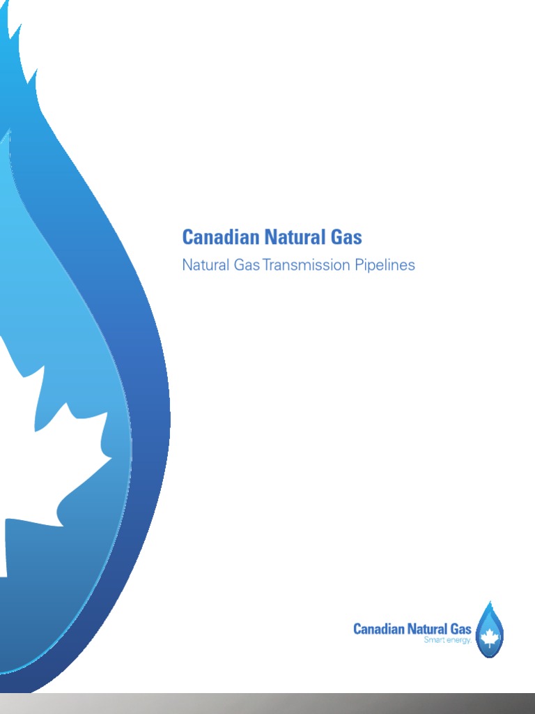 Natural Gas Transmission Pipelines | PDF | Natural Gas | Pipeline Transport