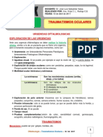 15. Traumatismos Oculares 18-04-17.pdf