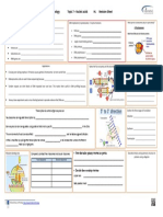 IB Biology Topic 7 - Nucleic Acids HL Revision Sheet