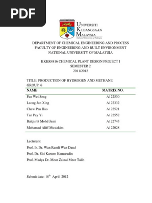 Name Matrix No Pdf Gasification Net Present Value