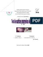 (Test de Matrices Progresivas de Raven) .