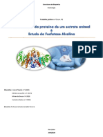 Relatorio Sobre o Trabalho Prático N.º1 e N.º2 PDF