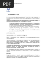 INVES_II_angie[1]