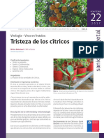 Ficha 22 Tristeza de Los Citricos PDF