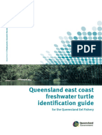 Queensland East Coast Freshwater Turtle Guide