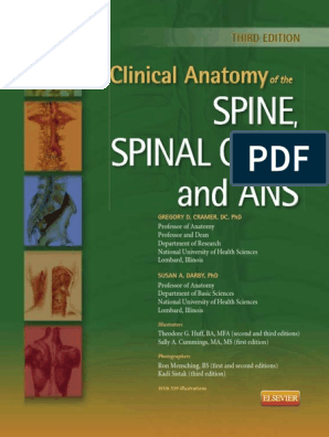 Study links back pain to a subtype of cells in spinal 'shock absorbers' :  r/ChronicPain