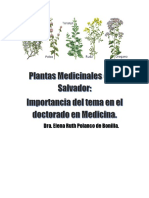 PLANTAS MEDICINALES EN EL SALVADOR Versi N Definitiva PDF