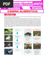 Cadenas Alimenticias para Primero de Secundaria PDF
