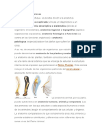 Diversas Clasificaciones de Anatomia