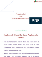 angiotensin 2 and renin angiotensin sysetm