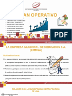 Plan Operativo - Grupo Camino al Éxito. Caso. EMMSA