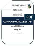 Contaminacion Ambiental