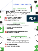 Normas Basicas de Atencion PDF