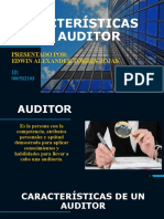 Características de Un Auditor