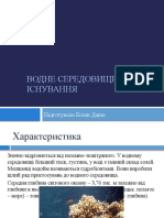 Водне середовище існування