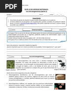 5° Básico Ciencias Naturales Guía 12 Valeria Bravo