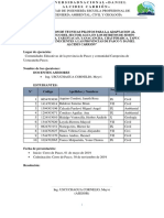 Informe Final de Pproyeccion