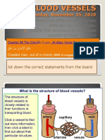 Blood Vessels Guide