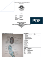 Nabilatul FN - K4 - Protozoa - Acara 1 - Hartina Putri