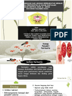 Peritonitis