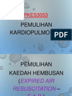 P04 PemulihanKardiopulmonari PDF