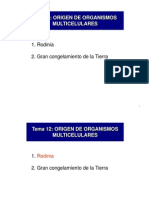 CV 5. Origen de Organismos Multicelulares