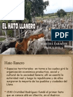 Hato Llanero