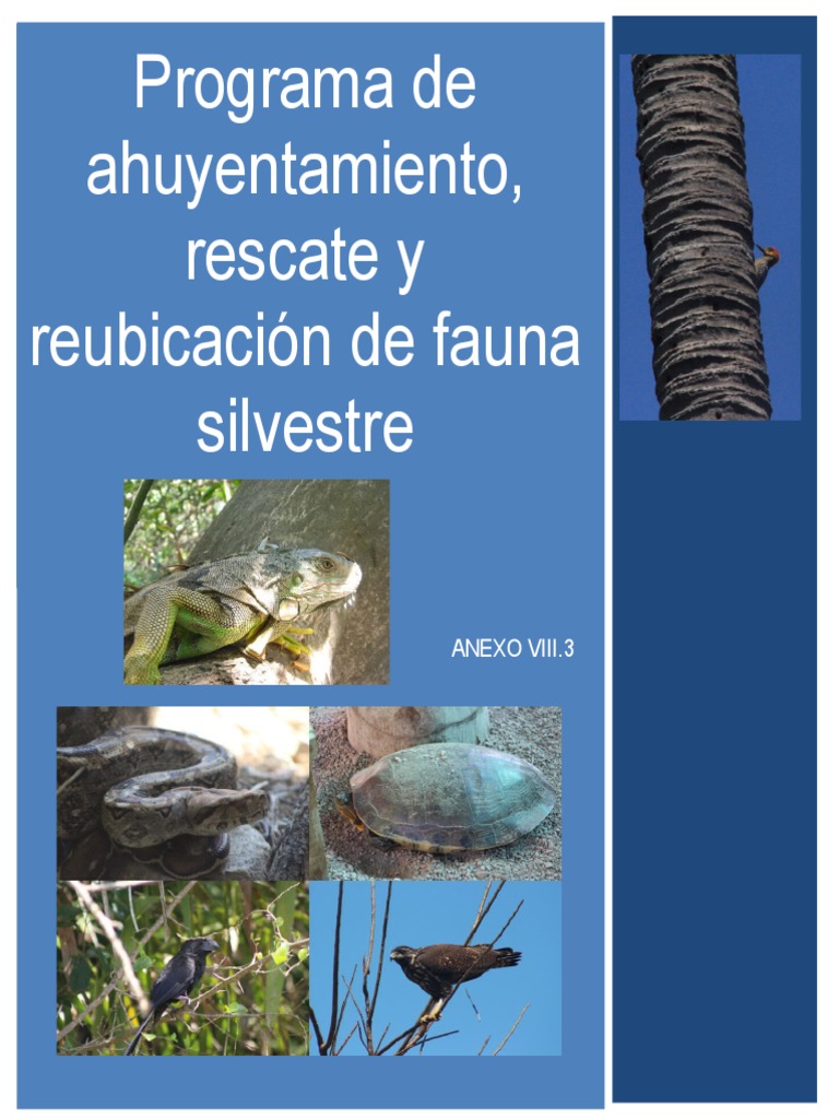 Programa de Rescate y Reubicación de Fauna | PDF | Biodiversidad | Aves