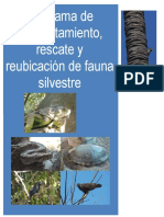 Programa de protección y conservación de herpetofauna en Costa Canuva