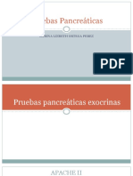 Pruevas de Funcion Pancreatica