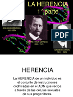 HERENCIA - Parte I