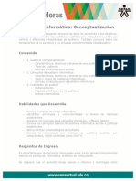 auditoria_informatica_conceptualizacion.pdf