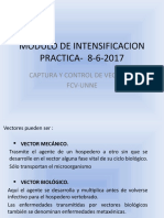 MIP Captura y Control 8-6-2017