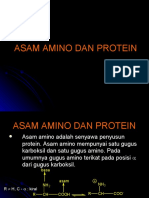 Asam-Amino-Dan-Protein Serta Struktur 3D Protein