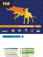 Cálculo de RER y MER para Gatos y Perros | PDF | Animales domesticados ...