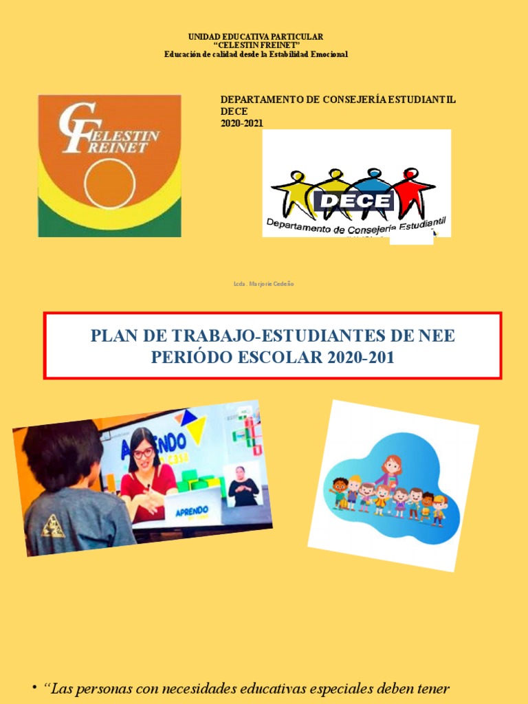 Plan de Trabajo para Estudiantes NEE | PDF