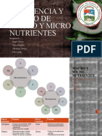 Fin - Deficiencia y Exceso de Macro y Micro Nutrientes