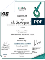 Julio - Cesar - Grajales PDF