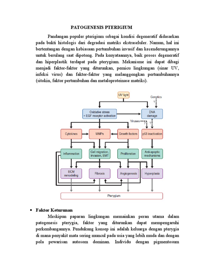Patogenesis Pterigium | PDF | Pengembangan Diri | Sains & Matematika