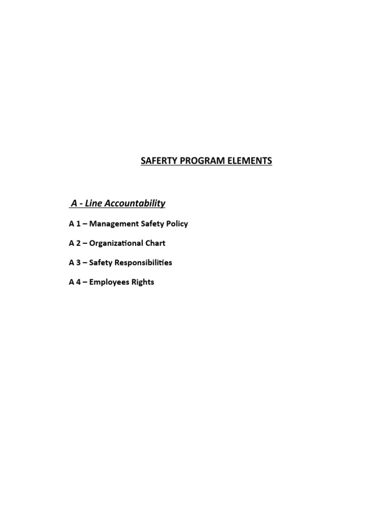 Safety Program Elements Overview | PDF | Business | Computers