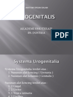 UROGENITALIS II