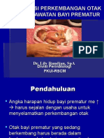 7.OPTIMALISASI PERKEMBANGAN OTAK dlm PERAWATAN BAY.ppt