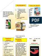 Leaflet Dyspepsia