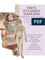 56744909-Site-Atlas-Anatomie.pdf