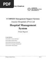 CC6052ES Management Support Systems Final Report.docx