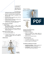 Movement Patterns: Exercise-Based