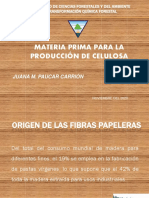 Caract mat prima.pdf